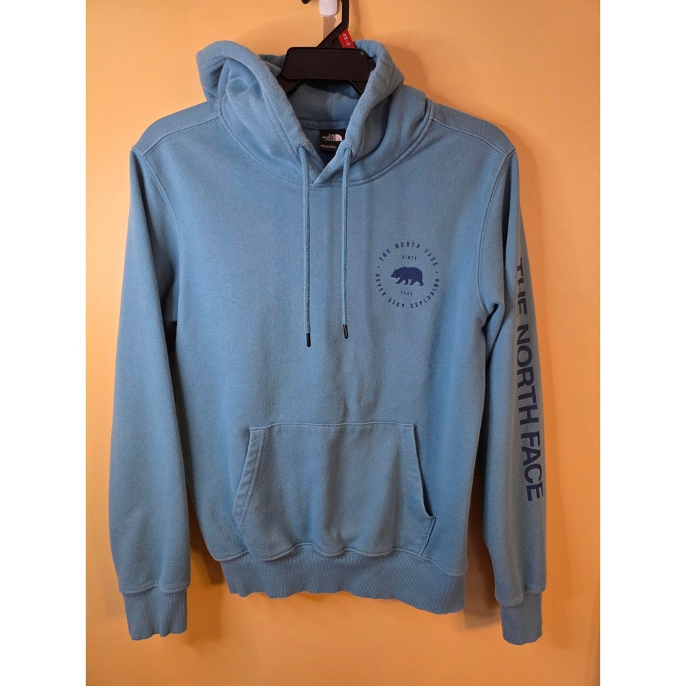 The North Face Mens Blue Bear Graphic Pullover Hoodie Sweatshirt Small